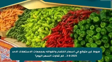هبوط غير متوقع في أسعار الخضار والفواكه بمجمعات الاستهلاك الأحد 3-8-2025.. كم تفاوت السعر اليوم؟